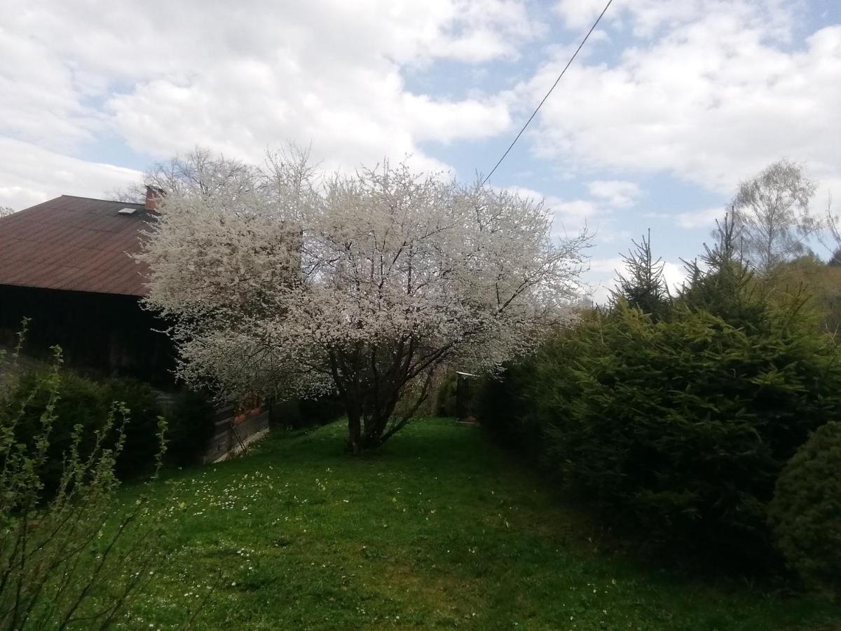 Rzeczne Zacisze Ξενοδοχείο Ustrzyki Dolne Εξωτερικό φωτογραφία